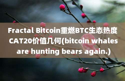 Fractal Bitcoin重燃BTC生态热度 CAT20价值几何(bitcoin whales are hunting bears again.)