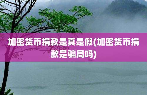 加密货币捐款是真是假(加密货币捐款是骗局吗)