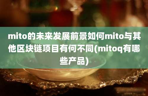 mito的未来发展前景如何mito与其他区块链项目有何不同(mitoq有哪些产品)