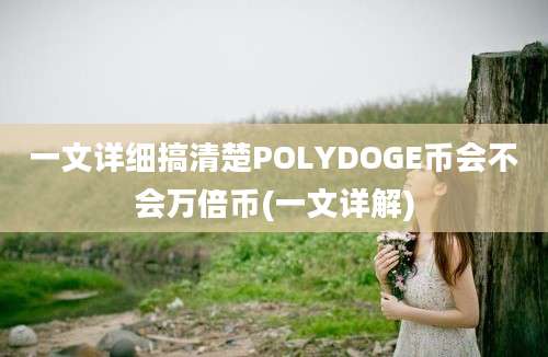 一文详细搞清楚POLYDOGE币会不会万倍币(一文详解)