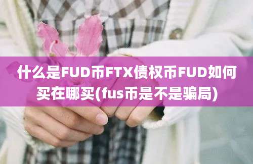 什么是FUD币FTX债权币FUD如何买在哪买(fus币是不是骗局)