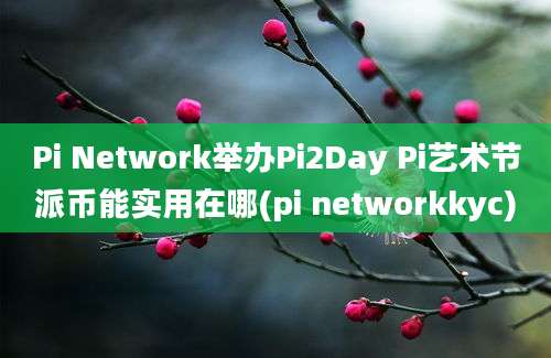 Pi Network举办Pi2Day Pi艺术节派币能实用在哪(pi networkkyc)