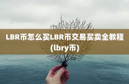 LBR币怎么买LBR币交易买卖全教程(lbry币)