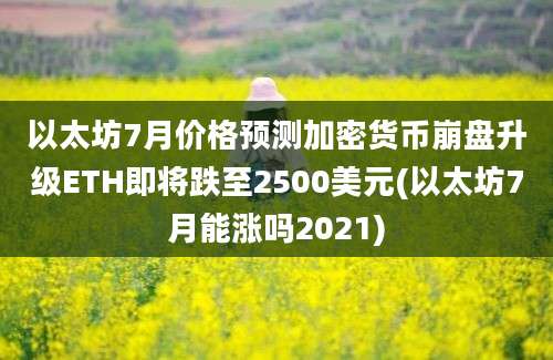 以太坊7月价格预测加密货币崩盘升级ETH即将跌至2500美元(以太坊7月能涨吗2021)