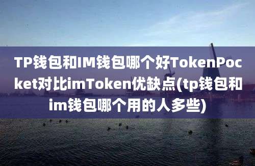 TP钱包和IM钱包哪个好TokenPocket对比imToken优缺点(tp钱包和im钱包哪个用的人多些)