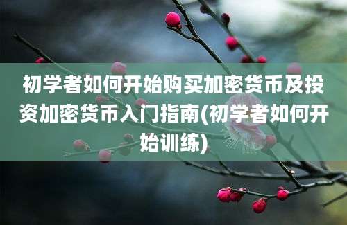 初学者如何开始购买加密货币及投资加密货币入门指南(初学者如何开始训练)