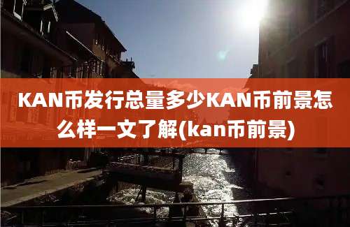 KAN币发行总量多少KAN币前景怎么样一文了解(kan币前景)