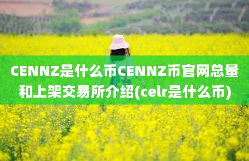 CENNZ是什么币CENNZ币官网总量和上架交易所介绍(celr是什么币)