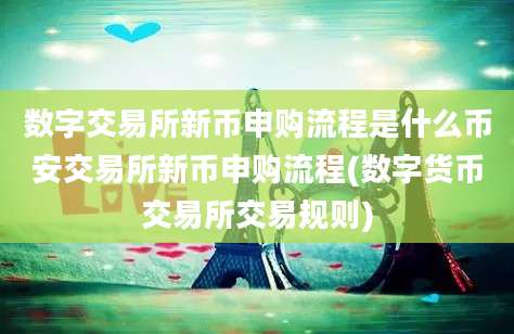 数字交易所新币申购流程是什么币安交易所新币申购流程(数字货币交易所交易规则)