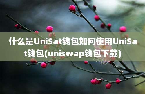 什么是UniSat钱包如何使用UniSat钱包(uniswap钱包下载)