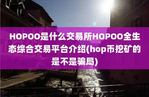 HOPOO是什么交易所HOPOO全生态综合交易平台介绍(hop币挖矿的是不是骗局)