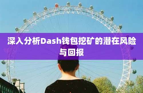 深入分析Dash钱包挖矿的潜在风险与回报