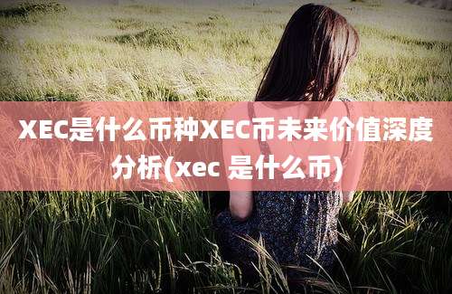 XEC是什么币种XEC币未来价值深度分析(xec 是什么币)