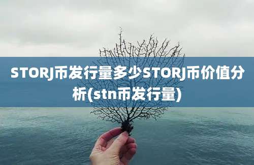 STORJ币发行量多少STORJ币价值分析(stn币发行量)