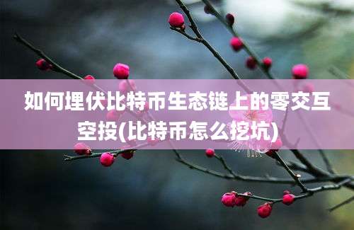 如何埋伏比特币生态链上的零交互空投(比特币怎么挖坑)