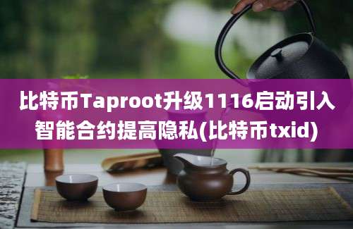 比特币Taproot升级1116启动引入智能合约提高隐私(比特币txid)