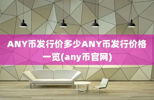 ANY币发行价多少ANY币发行价格一览(any币官网)