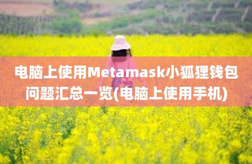 电脑上使用Metamask小狐狸钱包问题汇总一览(电脑上使用手机)