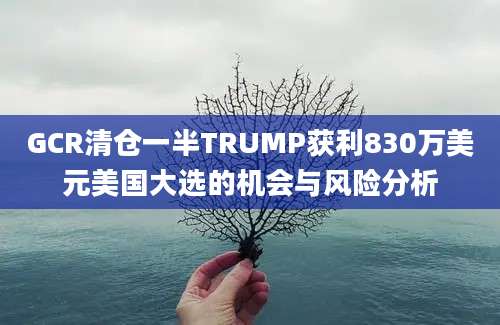 GCR清仓一半TRUMP获利830万美元美国大选的机会与风险分析