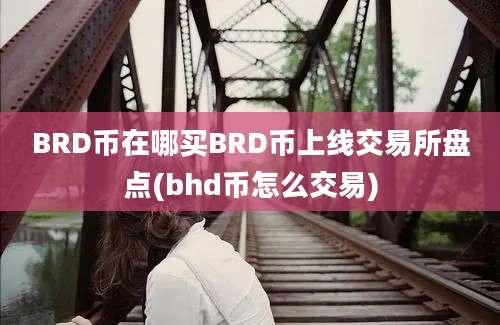 BRD币在哪买BRD币上线交易所盘点(bhd币怎么交易)