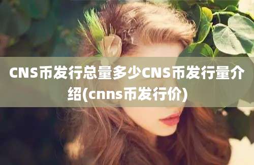 CNS币发行总量多少CNS币发行量介绍(cnns币发行价)