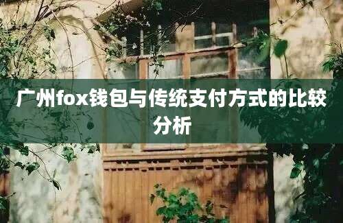 广州fox钱包与传统支付方式的比较分析