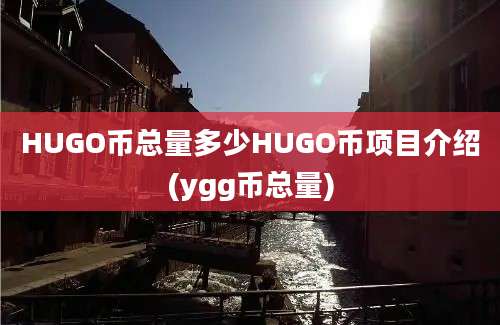 HUGO币总量多少HUGO币项目介绍(ygg币总量)