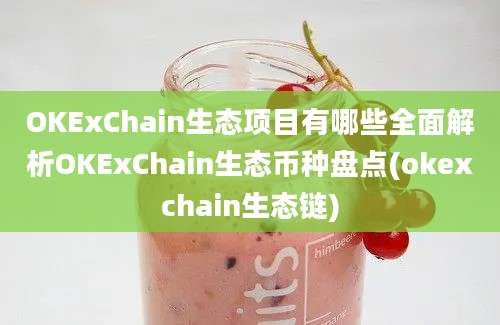 OKExChain生态项目有哪些全面解析OKExChain生态币种盘点(okexchain生态链)