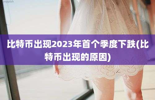 比特币出现2023年首个季度下跌(比特币出现的原因)