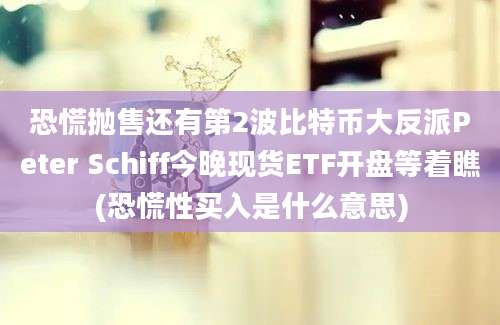 恐慌抛售还有第2波比特币大反派Peter Schiff今晚现货ETF开盘等着瞧(恐慌性买入是什么意思)