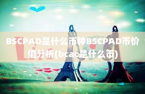 BSCPAD是什么币种BSCPAD币价值分析(bcac是什么币)