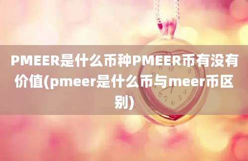 PMEER是什么币种PMEER币有没有价值(pmeer是什么币与meer币区别)