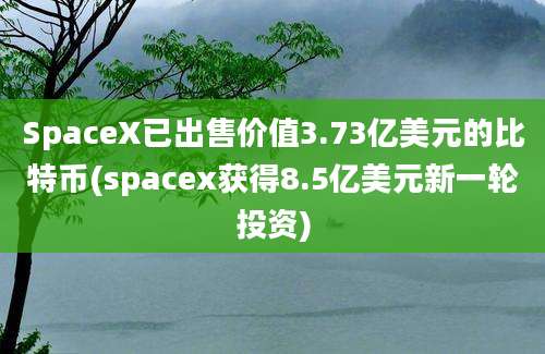 SpaceX已出售价值3.73亿美元的比特币(spacex获得8.5亿美元新一轮投资)