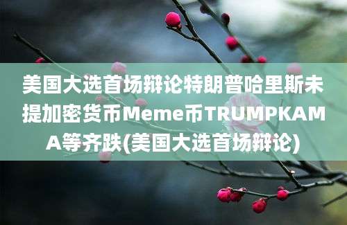 美国大选首场辩论特朗普哈里斯未提加密货币Meme币TRUMPKAMA等齐跌(美国大选首场辩论)