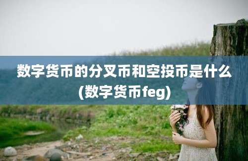 数字货币的分叉币和空投币是什么(数字货币feg)