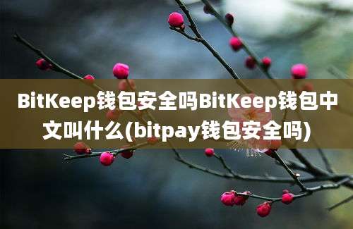 BitKeep钱包安全吗BitKeep钱包中文叫什么(bitpay钱包安全吗)