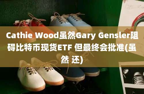 Cathie Wood虽然Gary Gensler阻碍比特币现货ETF 但最终会批准(虽然 还)