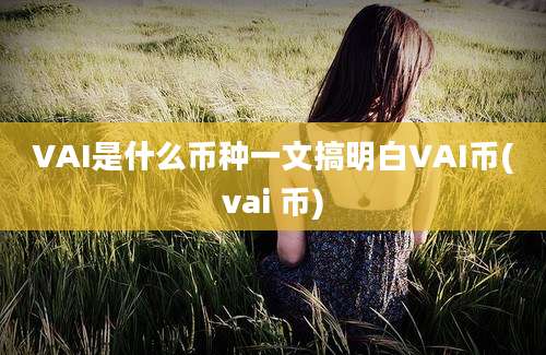 VAI是什么币种一文搞明白VAI币(vai 币)