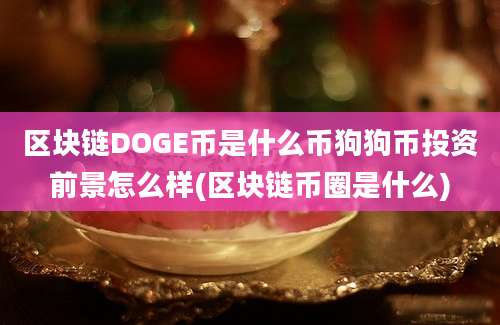 区块链DOGE币是什么币狗狗币投资前景怎么样(区块链币圈是什么)