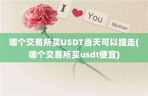 哪个交易所买USDT当天可以提走(哪个交易所买usdt便宜)