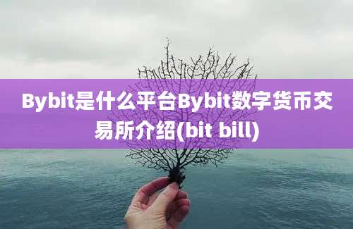 Bybit是什么平台Bybit数字货币交易所介绍(bit bill)