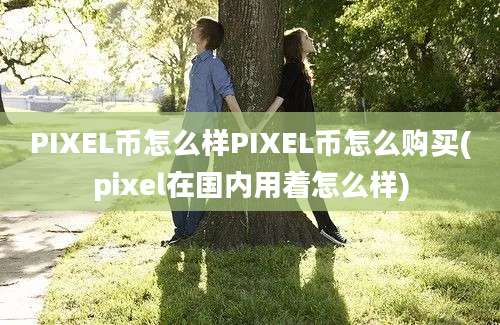 PIXEL币怎么样PIXEL币怎么购买(pixel在国内用着怎么样)