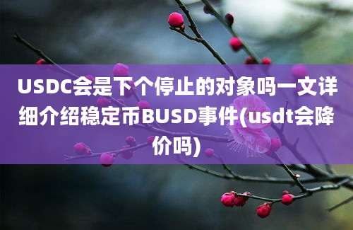 USDC会是下个停止的对象吗一文详细介绍稳定币BUSD事件(usdt会降价吗)