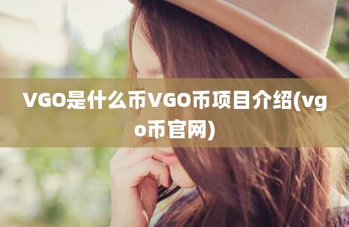 VGO是什么币VGO币项目介绍(vgo币官网)