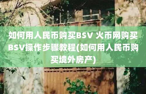 如何用人民币购买BSV 火币网购买BSV操作步骤教程(如何用人民币购买境外房产)