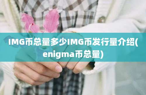 IMG币总量多少IMG币发行量介绍(enigma币总量)