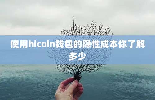 使用hicoin钱包的隐性成本你了解多少