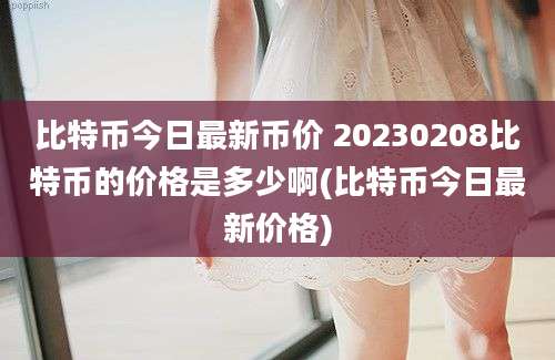 比特币今日最新币价 20230208比特币的价格是多少啊(比特币今日最新价格)