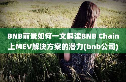 BNB前景如何一文解读BNB Chain上MEV解决方案的潜力(bnb公司)