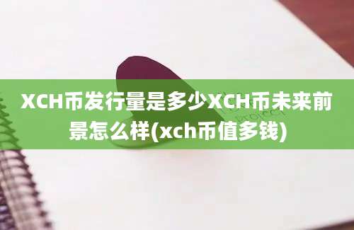 XCH币发行量是多少XCH币未来前景怎么样(xch币值多钱)